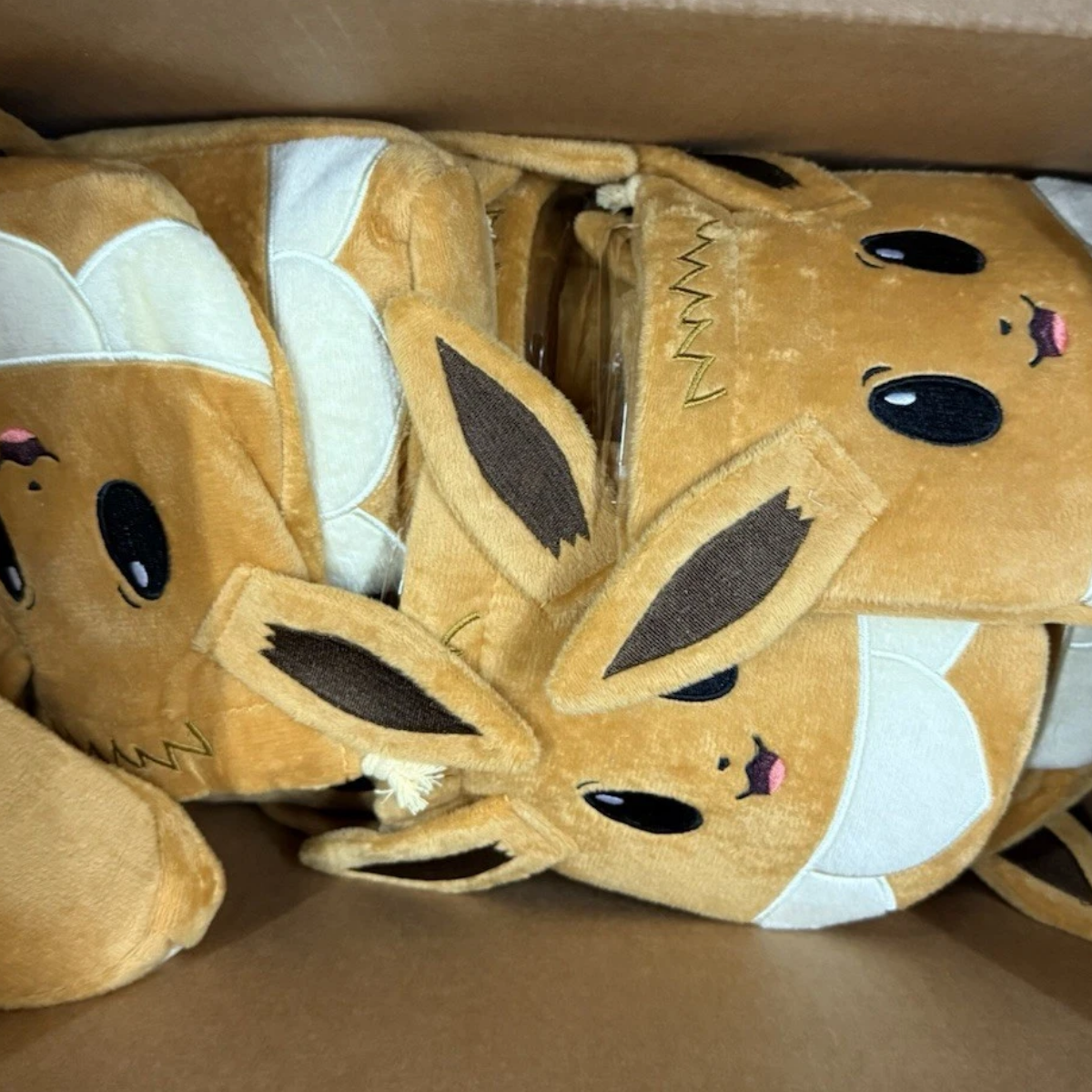 Pokemon Prismatic Eevee Pouch
